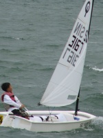 SIN 3167
